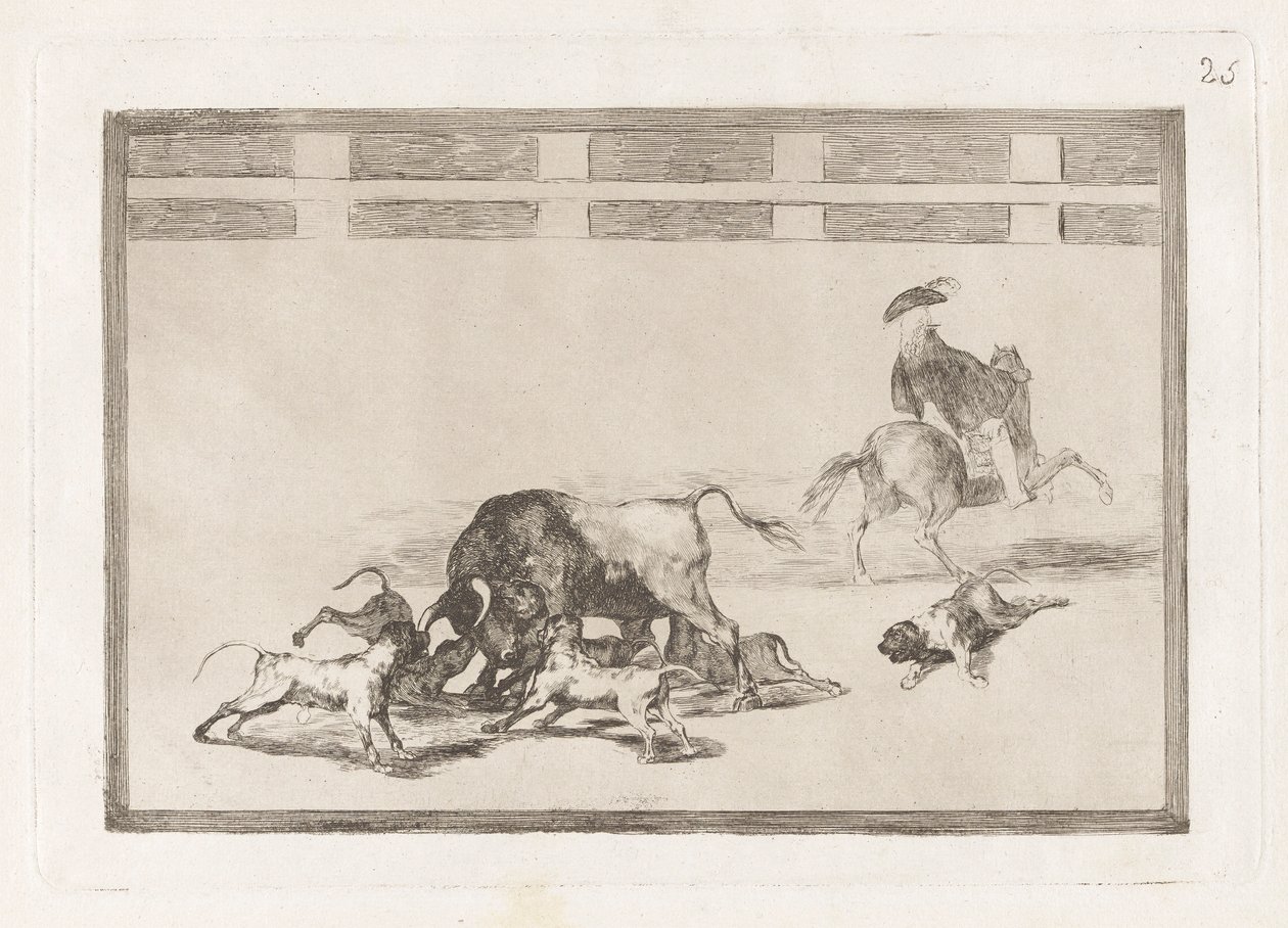 Echan perros al toro (لقد فقدوا كلابًا على الثور) ، اللوحة 25 من La tauromaquia بواسطة فرانسيسكو دي جويا