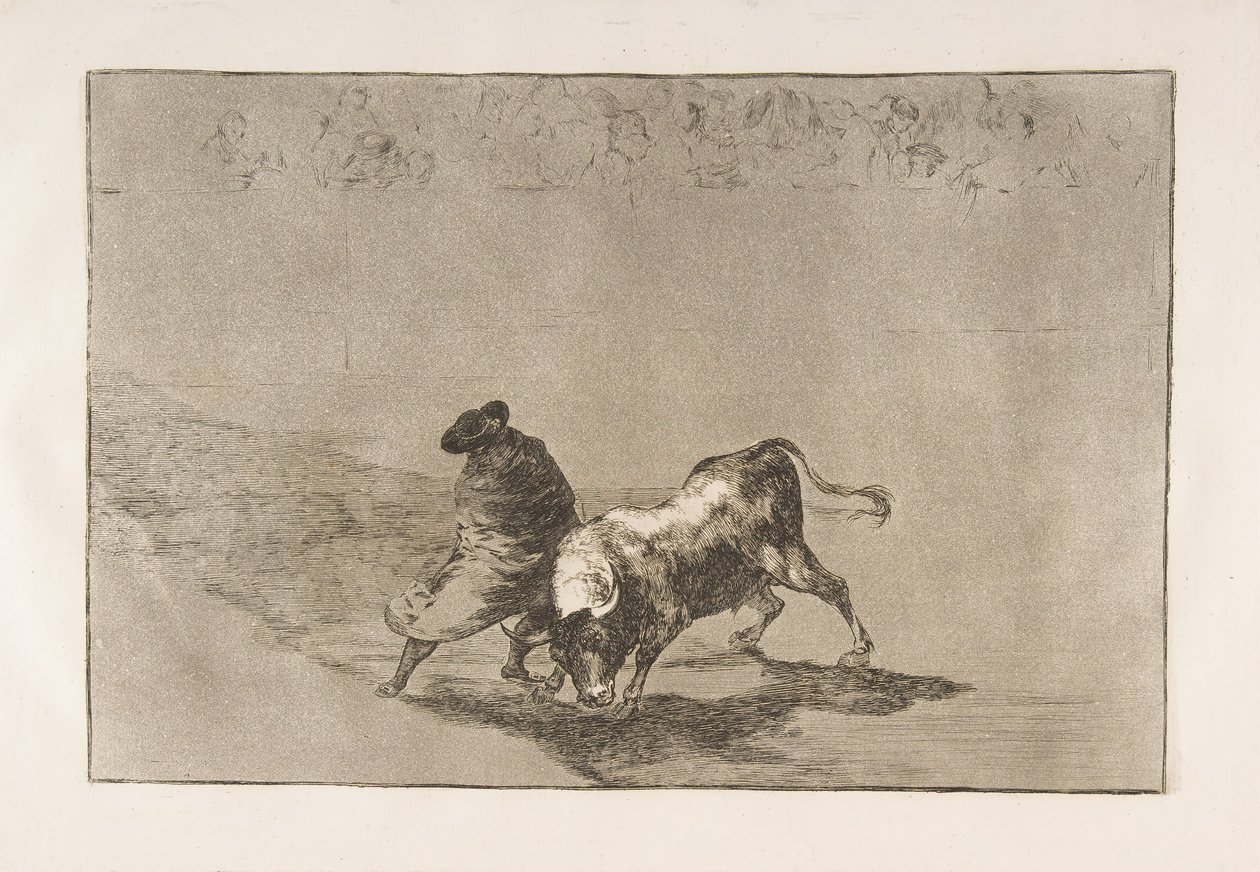 اللوحة 14 من تاوروموكيا: طالب فالسيس الماهر ، ملفوف في رأسه ... ، 1816. بواسطة فرانسيسكو دي جويا
