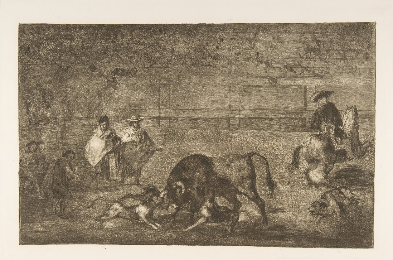 اللوحة C: الكلاب تترك على الثور ، كاليفورنيا. 1816. بواسطة فرانسيسكو دي جويا