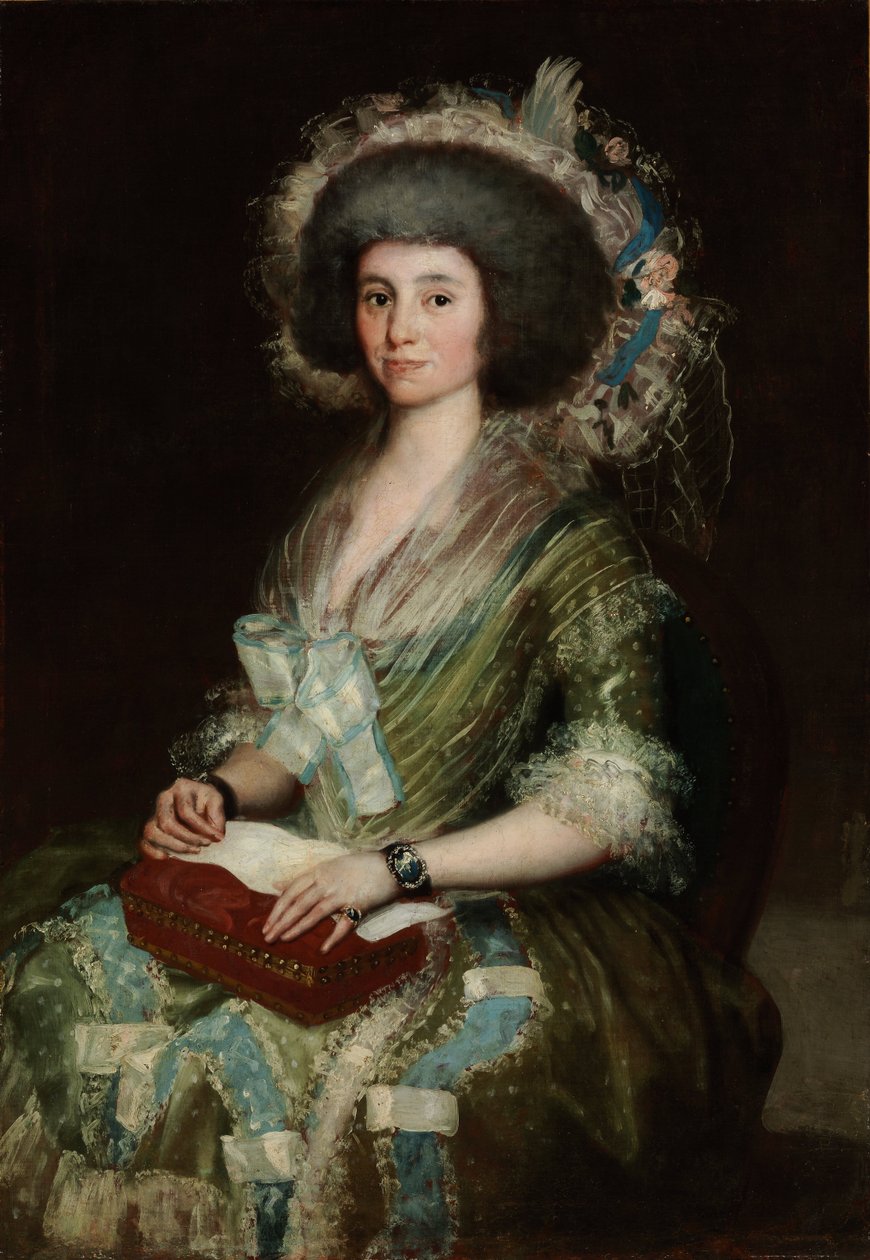صورة دونا مانويلا كاماس ، زوجة شيان بيرموديز - رسم فرانشيسكو دي جويا (1746-1828) - 1795 - ألوان زيتية على قماش - 121x84،5 - متحف Szepmuveszeti ، بودابست بواسطة فرانسيسكو دي جويا