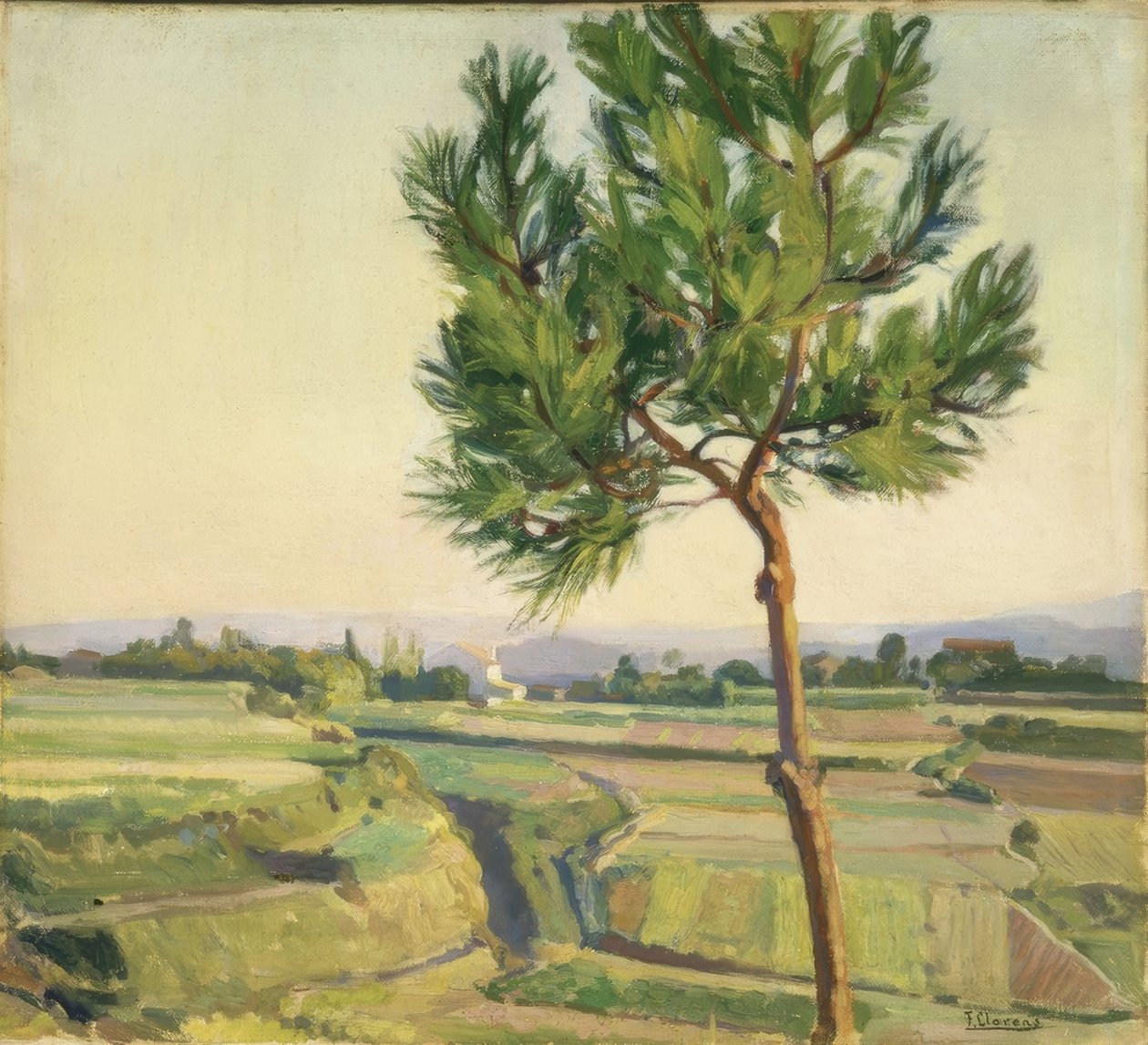 EL ARBOLITO (MERA) -1931–45X50،5– بواسطة فرانسيسكو لورينز دياز