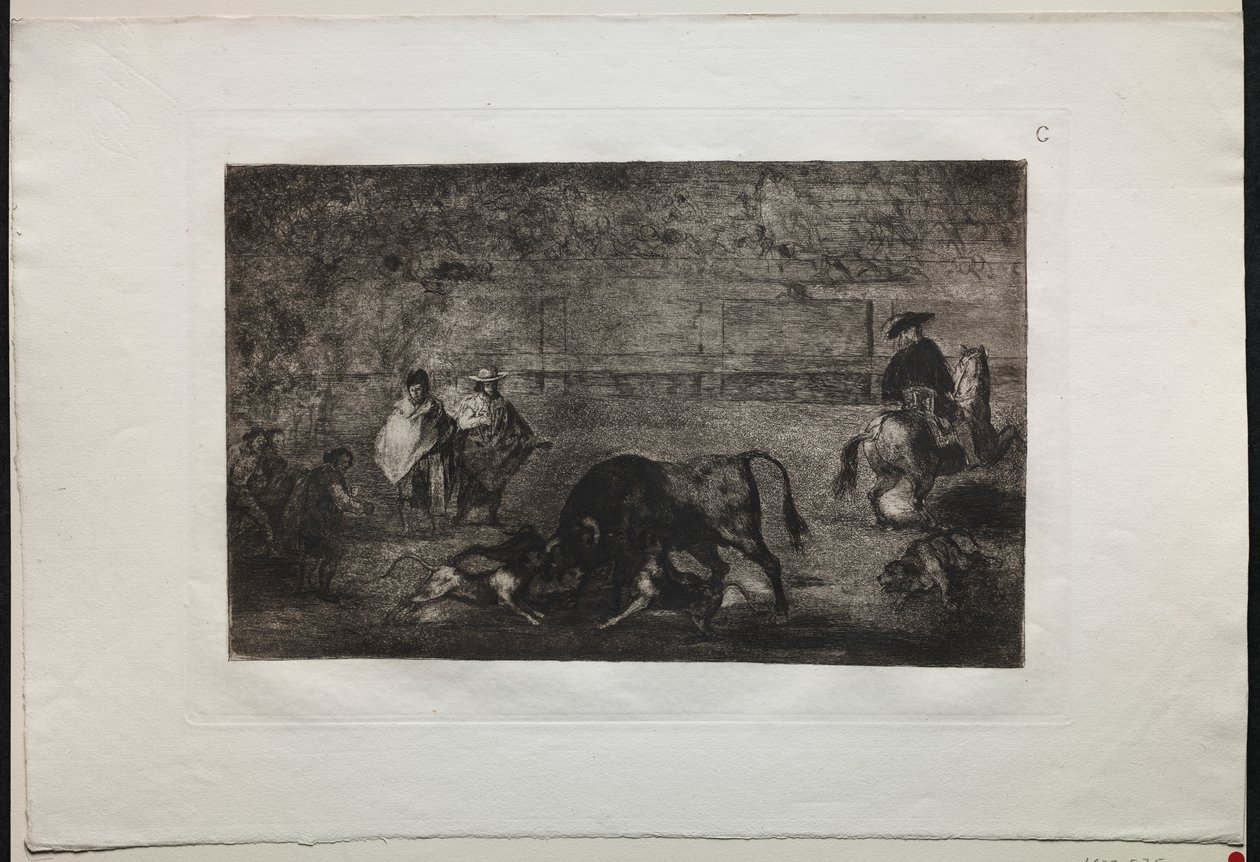 مصارعة الثيران: The Dog Let loose on the Bull بواسطة فرانسيسكو دي جويا