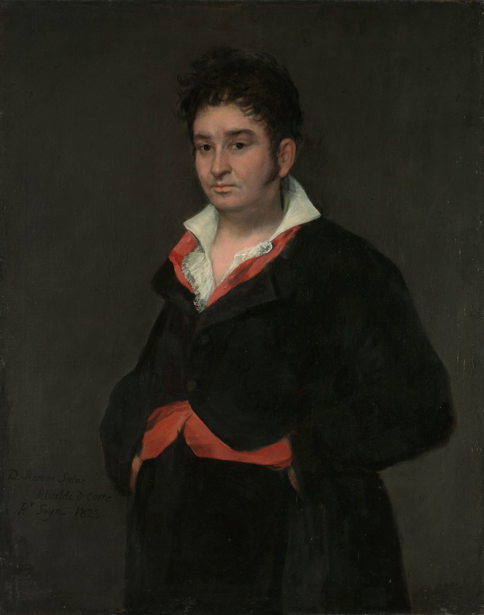 صورة دون رامون ساتوي صورة دون رامون ساتوي واي ألوي (1765-1824) بواسطة فرانسيسكو دي جويا
