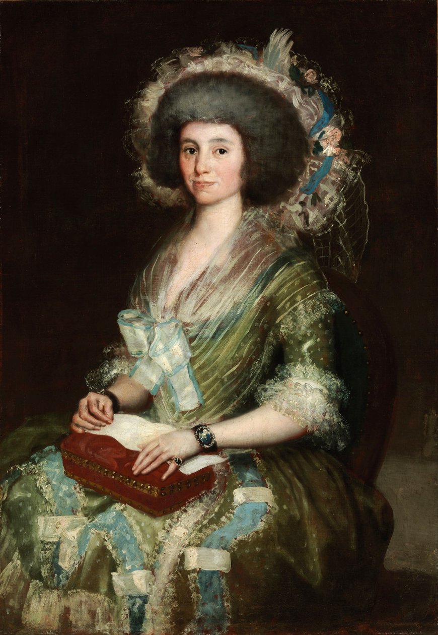Portrait of Dona Manuela Camas بواسطة فرانسيسكو دي جويا