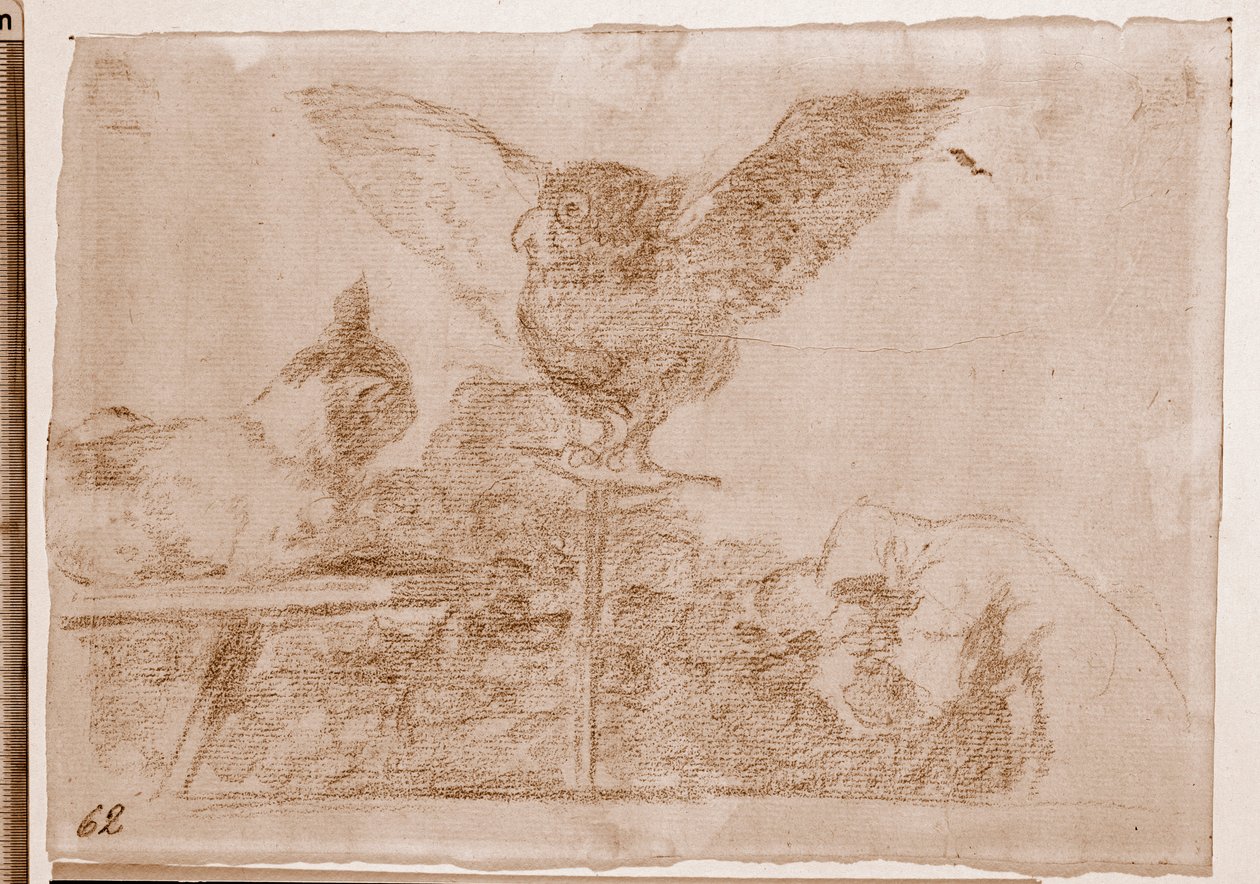 The Disasters of War : Cat Pantomime (preparatory drawing بواسطة فرانسيسكو دي جويا