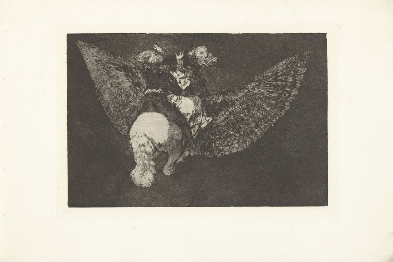 Flying Flying Disparate volante Los Disparates (The Follies) (عنوان السلسلة) Los Proverbios (الأمثال) (عنوان السلسلة) بواسطة فرانسيسكو دي جويا
