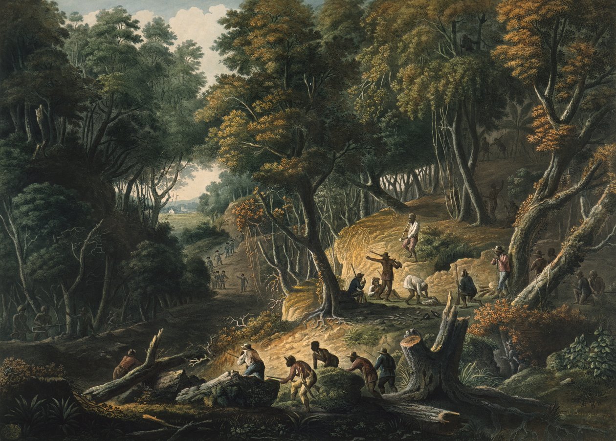 المارون في كمين في مزرعة دروميلي في أبرشية تريلاوني ، جامايكا ، حانة. 1801 بواسطة فرانسوا جوزيف بورجوين