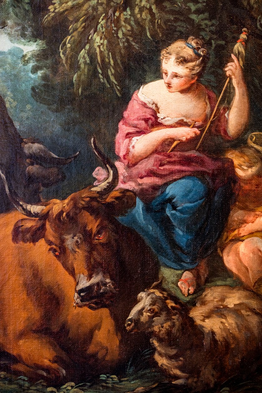  بواسطة فرانسوا باوتشر