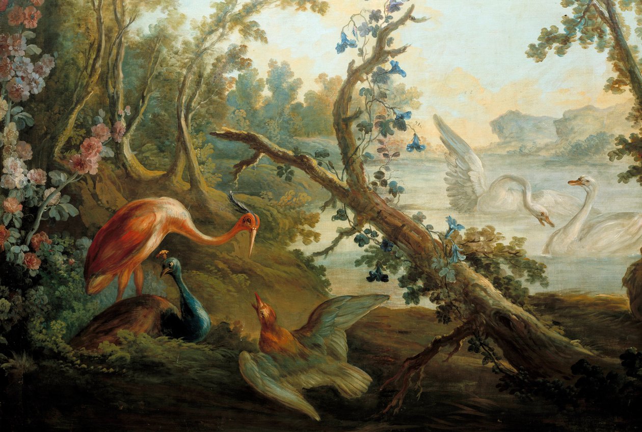 Swans and peacocks Painting by Francois Boucher (1703-1770) 18th century Paris, Musee Carnavalet بواسطة فرانسوا باوتشر
