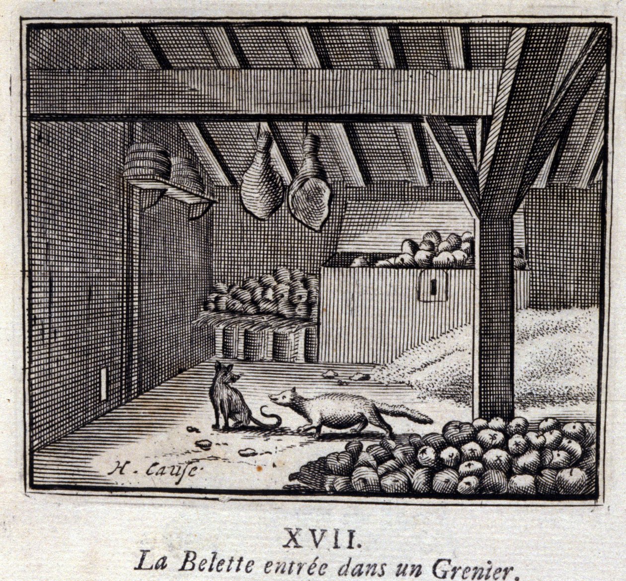دخل La Weasette إلى Grenier. أساطير جان دي لافونتين (1621-95). رسم توضيحي لفرانسوا تشوفو (1613-1676). طبعة 1728. بواسطة فرانسوا شوفو