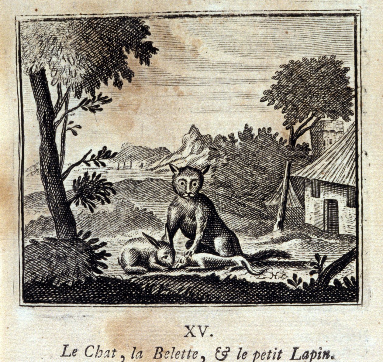 القط وابن عرس والأرنب الصغير. أساطير جان دي لافونتين (1621-95). رسم توضيحي لفرانسوا تشوفو (1613-1676). طبعة 1728. بواسطة فرانسوا شوفو
