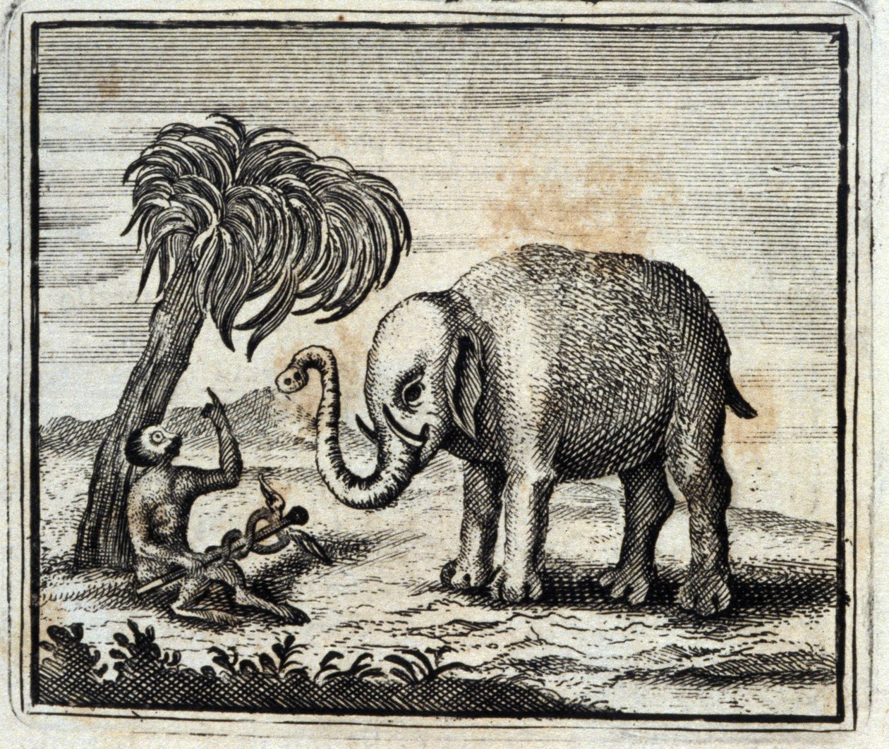 الفيل وقرد المشتري. أساطير جان دي لافونتين (1621-95). رسم توضيحي لفرانسوا تشوفو (1613-1676). طبعة 1728. بواسطة فرانسوا شوفو