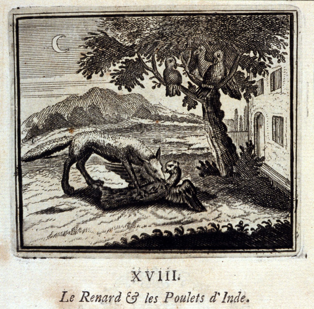 الثعلب والدجاج في الهند. أساطير جان دي لافونتين (1621-95). رسم توضيحي لفرانسوا تشوفو (1613-1676). طبعة 1728. بواسطة فرانسوا شوفو