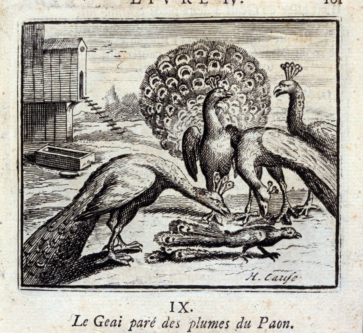 يزين جاي ريش الطاووس. أساطير جان دي لافونتين (1621-95). رسم توضيحي لفرانسوا تشوفو (1613-1676). طبعة 1728. بواسطة فرانسوا شوفو