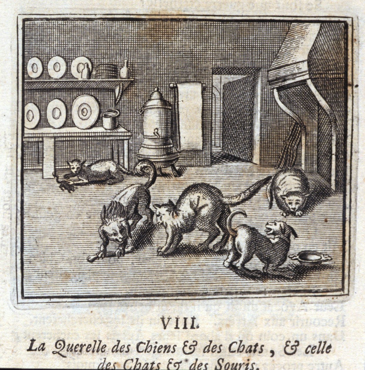 Querelle من الكلاب والقطط ، والقطط والفئران. أساطير جان دي لافونتين (1621-95). رسم توضيحي لفرانسوا تشوفو (1613-1676). طبعة 1728. بواسطة فرانسوا شوفو
