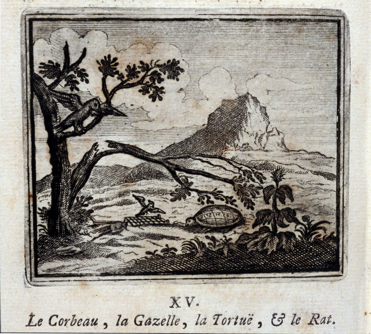 الغراب والغزال والسلحفاة والجرذ. أساطير جان دي لافونتين (1621-95). رسم توضيحي لفرانسوا تشوفو (1613-1676). طبعة 1728. بواسطة فرانسوا شوفو