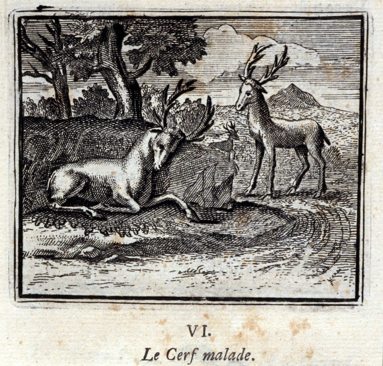 الغزال المريض. أساطير جان دي لافونتين (1621-95). رسم توضيحي لفرانسوا تشوفو (1613-1676). طبعة 1728. بواسطة فرانسوا شوفو