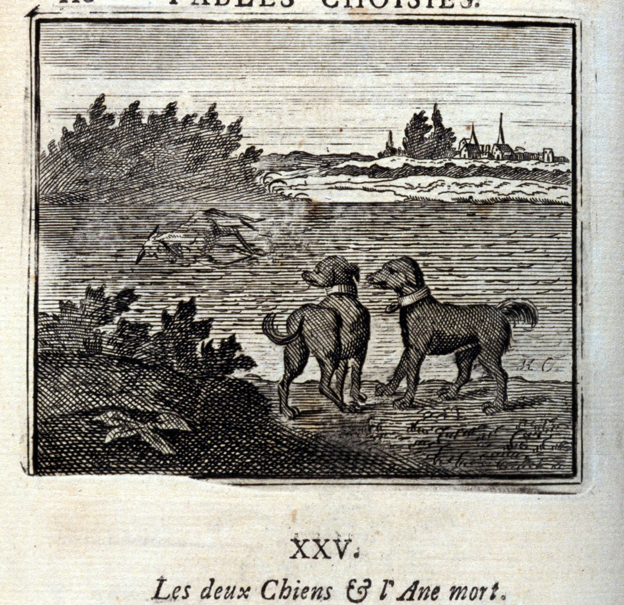 الكلبان والحمار الميت. أساطير جان دي لافونتين (1621-95). رسم توضيحي لفرانسوا تشوفو (1613-1676). طبعة 1728. بواسطة فرانسوا شوفو