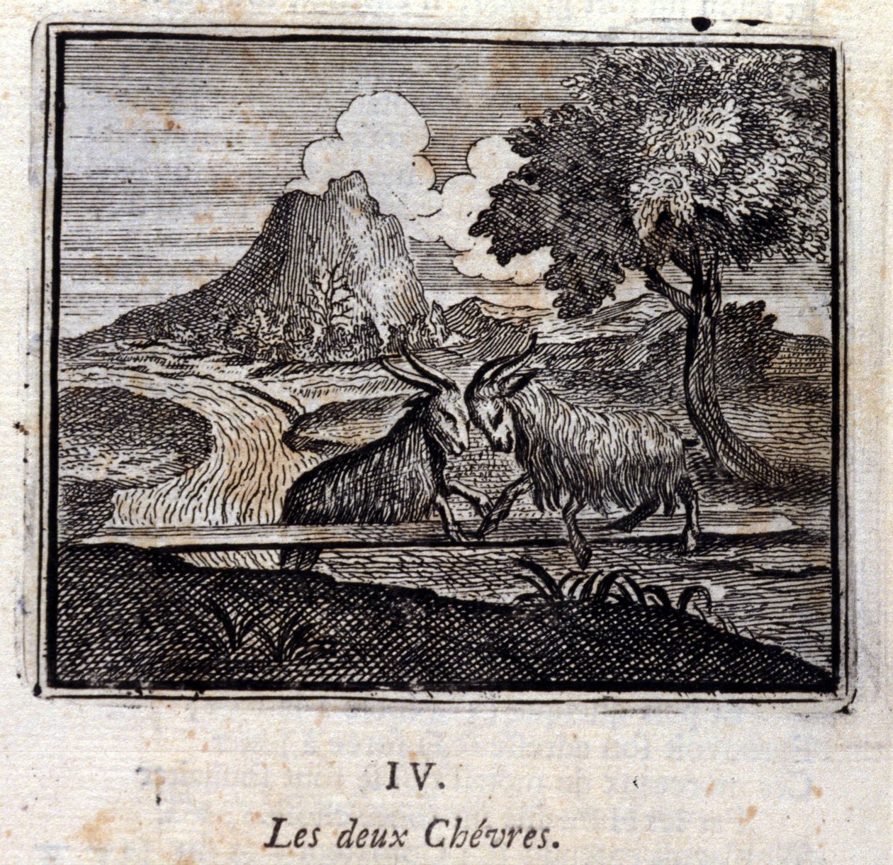 الماعزان. أساطير جان دي لافونتين (1621-95). رسم توضيحي لفرانسوا تشوفو (1613-1676). طبعة 1728. بواسطة فرانسوا شوفو