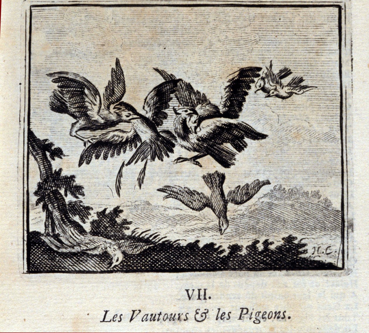 النسور والحمام. أساطير جان دي لافونتين (1621-95). رسم توضيحي لفرانسوا تشوفو (1613-1676). طبعة 1728. بواسطة فرانسوا شوفو