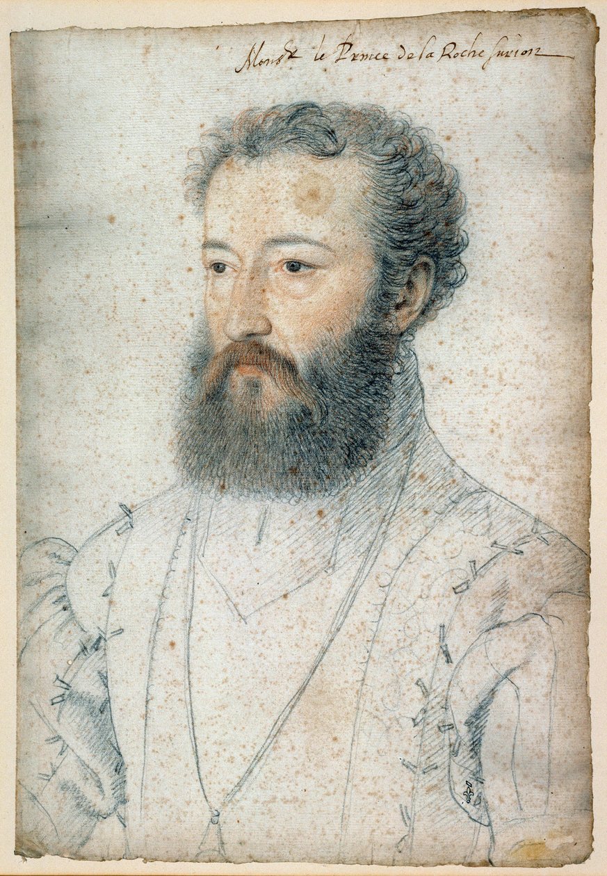 صورة تشارلز دي بوربون ، أمير لاروش سور يون (1515-1565). رسم دم وحجر أسود بواسطة كلويه فرانسوا (1515-1572) بواسطة فرانسوا كلويت