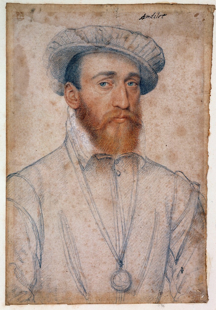 صورة لفرانسوا دي كوليجني ، سيد أندلوت (1521-1569). رسم دم وحجر أسود بواسطة كلويه فرانسوا (1515-1572) بواسطة فرانسوا كلويت