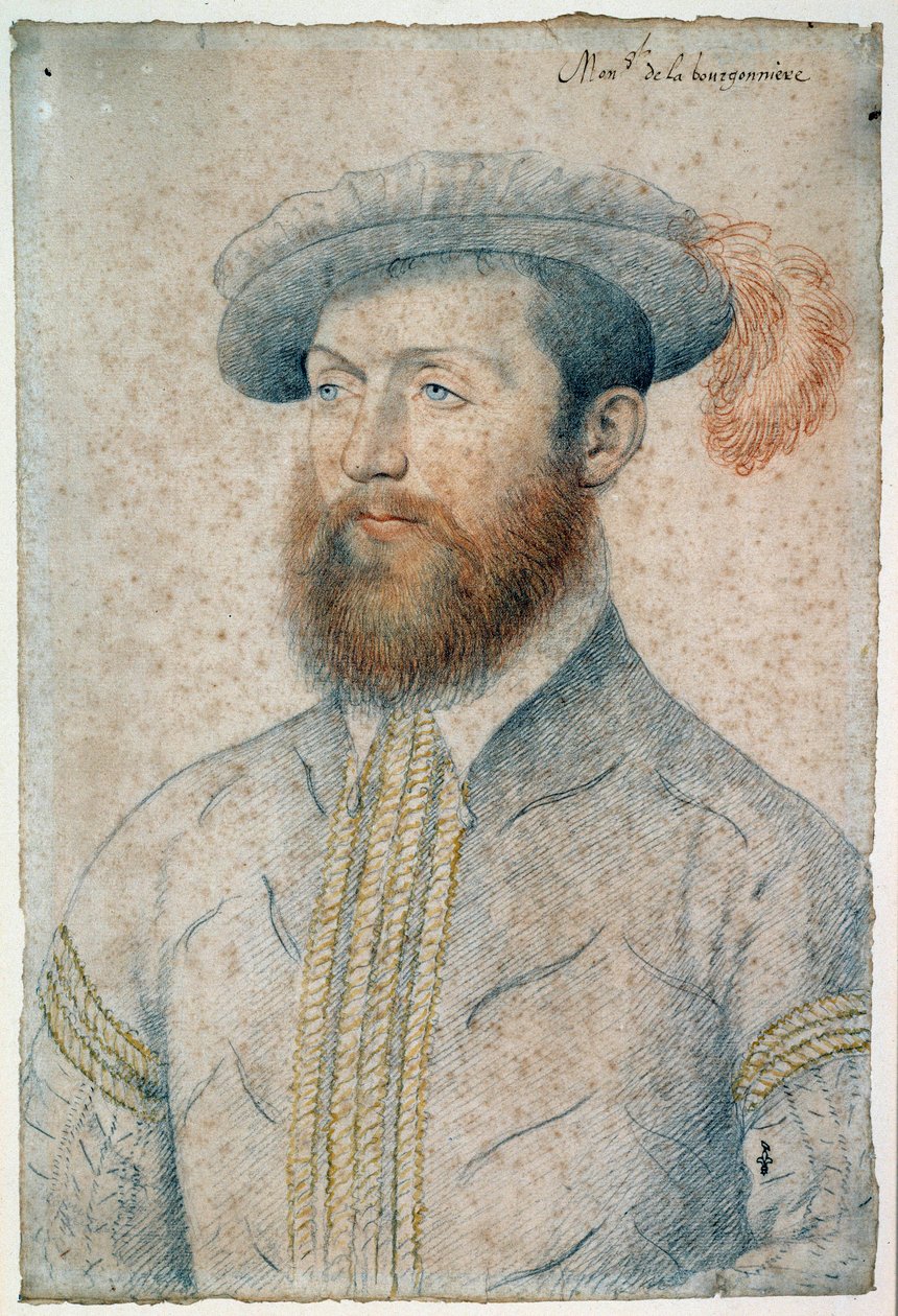 بورتريه جان دو بليسيس ، رب البورونير (1525 - 1594). رسم دم وحجر أسود بقلم فرانسوا كلويه (1515-1572) بواسطة فرانسوا كلويت