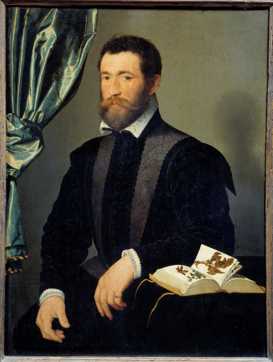 صورة للطبيب بيير كوث (1519-apres 1588) رسم فرانسوا كلويت (1515-1572) 1562 صن. 0،91 × 0،7 م - صورة للطبيب بيير كوث (1519 - حوالي 1588). لوحة فرانسوا كلويه (1515-1572) بواسطة فرانسوا كلويت