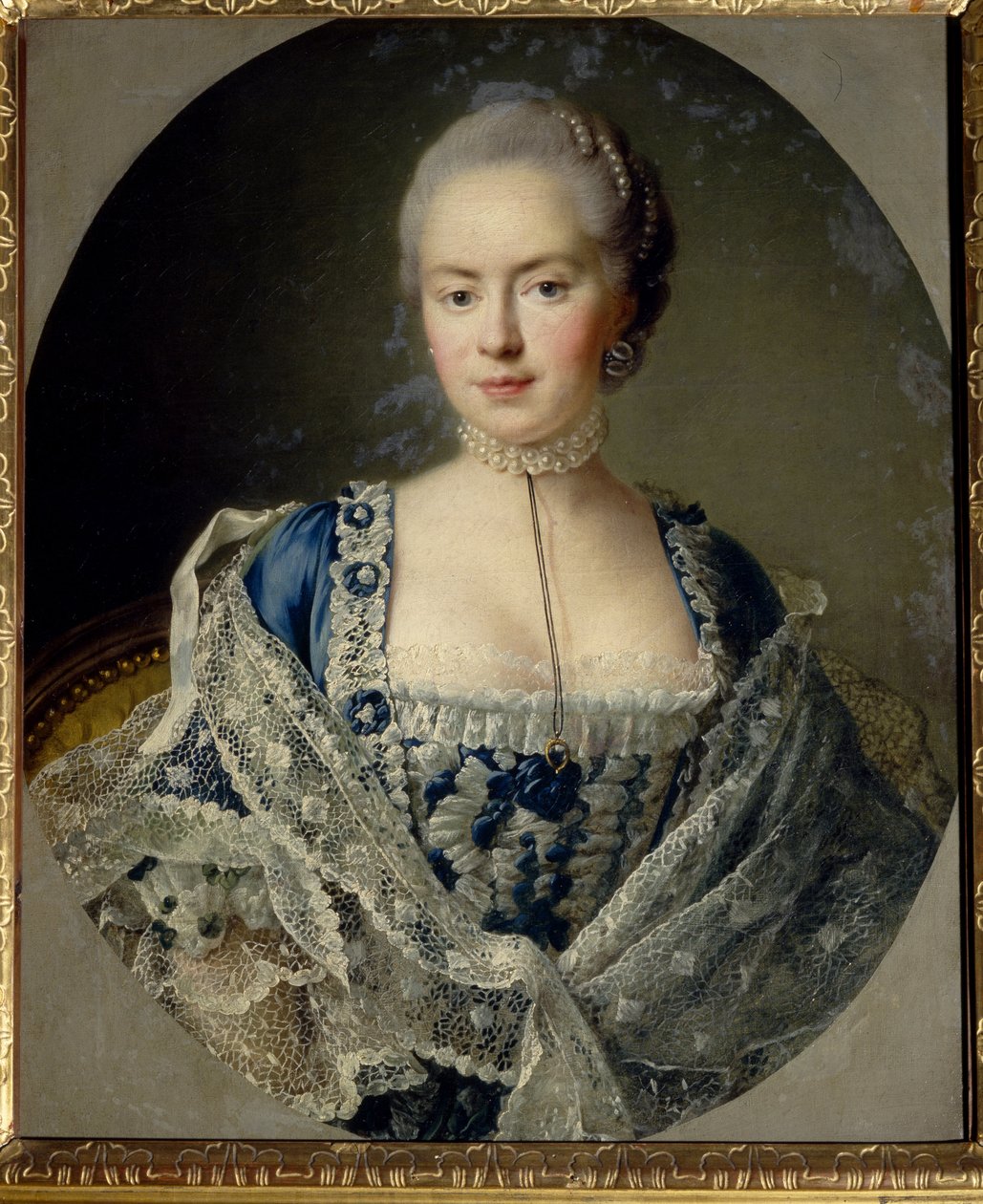 Portrait de la Princess Daria Petrovna Saltykova (Saltykoff) (nee Chernysheva بواسطة فرانسوا هوبير درويس