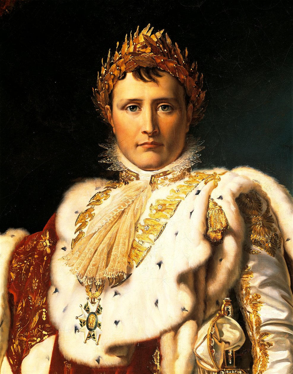 Napoleon Bonaparte in Emperor