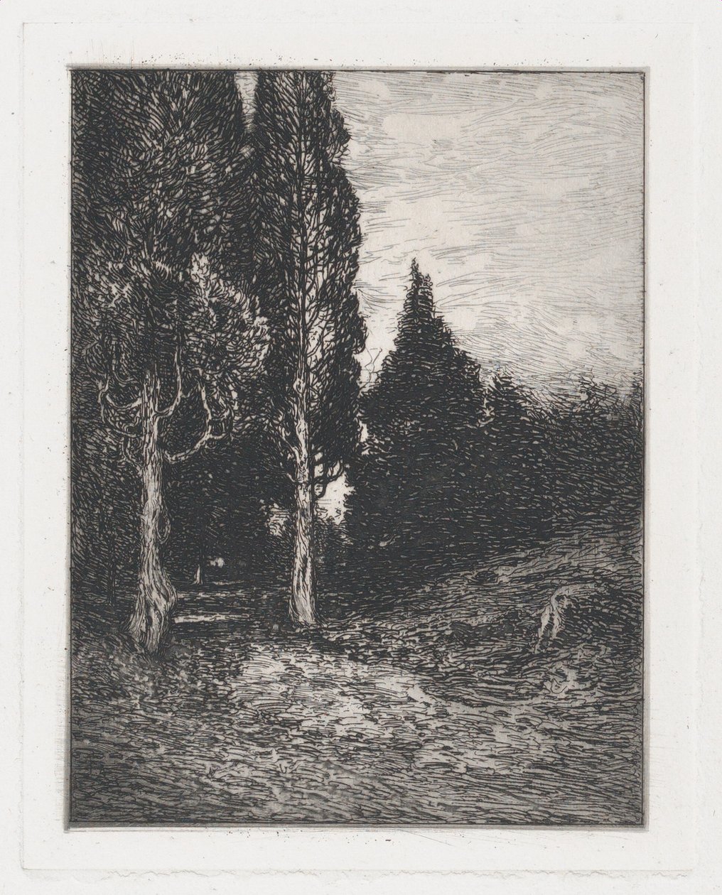 المناظر الطبيعية ، كاليفورنيا. 1880-91. بواسطة فرانك أندرسون