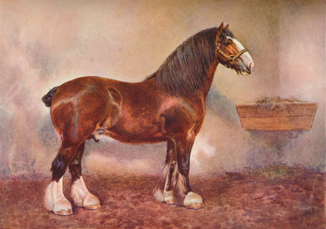 فحل كلايدديل أمير ألبيون ، عام 1900 عام 1910 بواسطة فرانك باباج