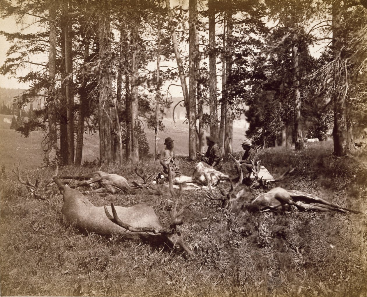 Elk Hunters، Yellowstone، c.1880 (طباعة زينية فضية) بواسطة فرانك جاي هاينز