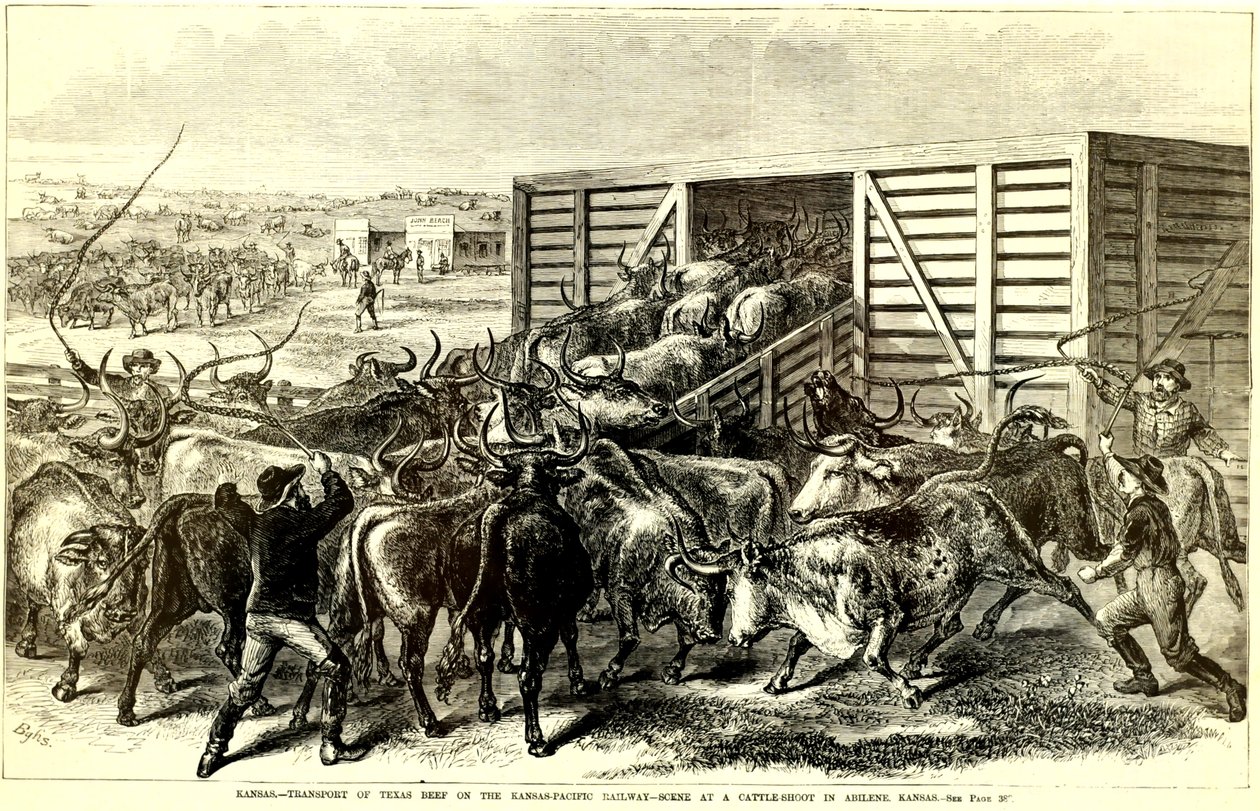 مزلق الماشية في أبيلين ، كانساس ، ج. 1871 (نقش) بواسطة فرانك ليزلي