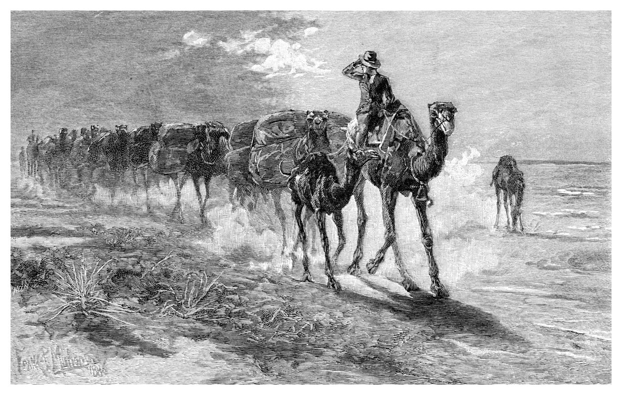 الإبل تحمل الصوف 1886. بواسطة فرانك بي ماهوني