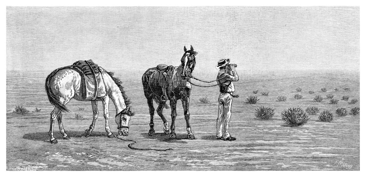 لا شيء في الأفق ، 1886. بواسطة فرانك بي ماهوني