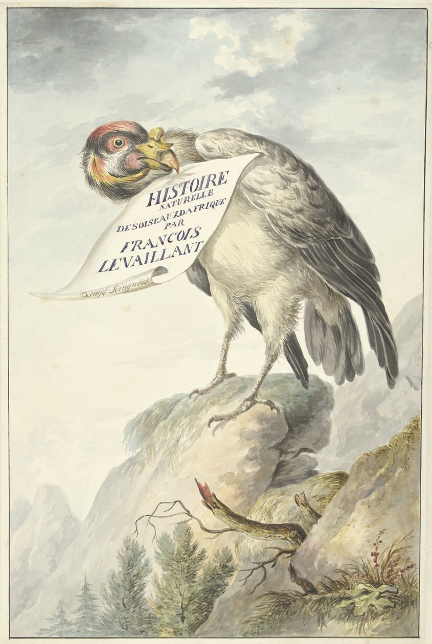 نسر متوج كبير مع ورقة في منقاره HISTOIRE NATURELLE DES OISEAUX DAFRIQUE (العنوان على الكائن) بواسطة فرانسوا ليفايان (دائرة)