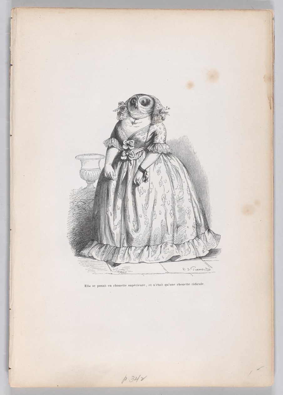 لقد قدمت نفسها على أنها بومة متفوقة ، وكانت مجرد بومة سخيفة من مشاهد من ... ، كاليفورنيا. 1837-47. بواسطة فرانسوا روجيت