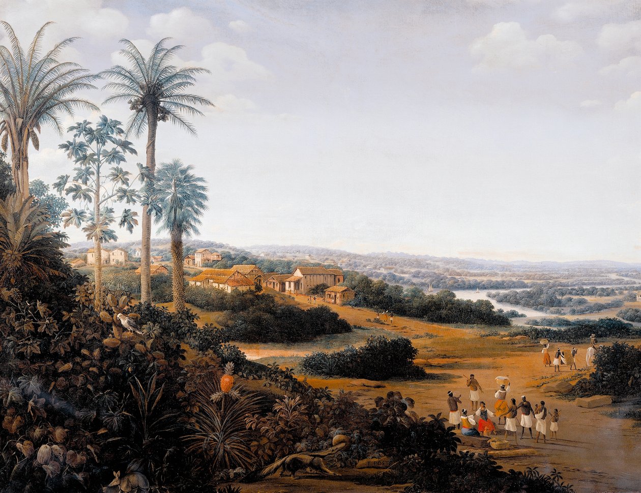 Serinhaem village in Brazil or The home of a sugar cane planter in Brazil (oil on canvas) بواسطة وظيفة فران