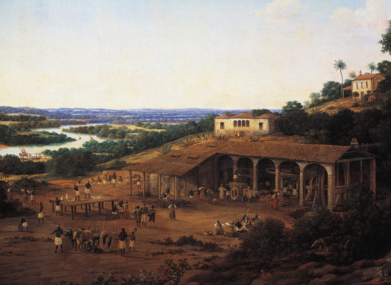 مصانع قصب السكر في البرازيل ، بقلم فرانس بوست (1612-1680) ، زيت على قماش بواسطة وظيفة فران