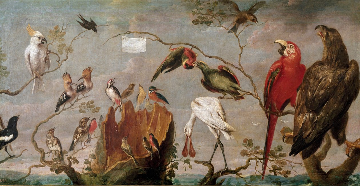 Birds Concert Painting by Frans Snyders (Snijders) (1579-1657) 17th century Madrid, Prado Museum بواسطة فرانس سنايدر