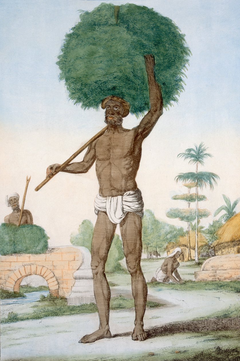 خادم هندوسي يقطع العشب ، "الهندوس ، أو وصف أخلاقهم ، وأزيائهم واحتفالاتهم" ، c.1808-12 (النقش الملون) بواسطة فرانز بالتازار سولفينز