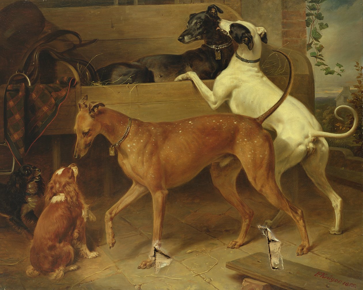 كروجرز دوغز ، 1855 بواسطة فرانز كروجر