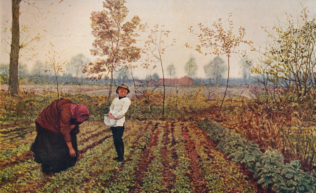 حقل البنفسج ، 1867 ، c1915 بواسطة فريد ووكر