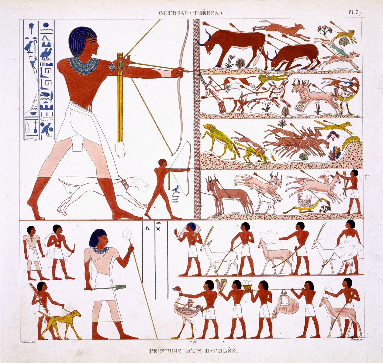 مشاهد الصيد ، من سجل نادر من اللوحات الجدارية من طيبة ، سجلت 1819-1822 في زيارته الثانية لمصر بواسطة فريدريك كايليود (1787-1869) ، لون ليثو بواسطة فريدريك كاييود