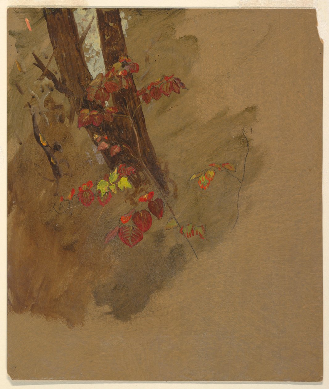رسم، دراسات نباتية، 1860-70 بواسطة كنيسة فريدريك إدوين