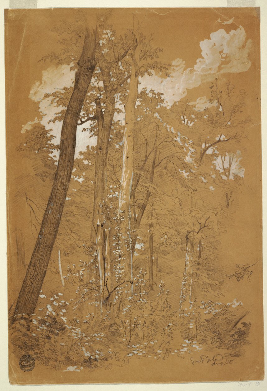 رسم ، أشجار الكستناء على جزيرة الماعز ، نهر نياجرا ، نيويورك ، أغسطس 1858 بواسطة كنيسة فريدريك إدوين