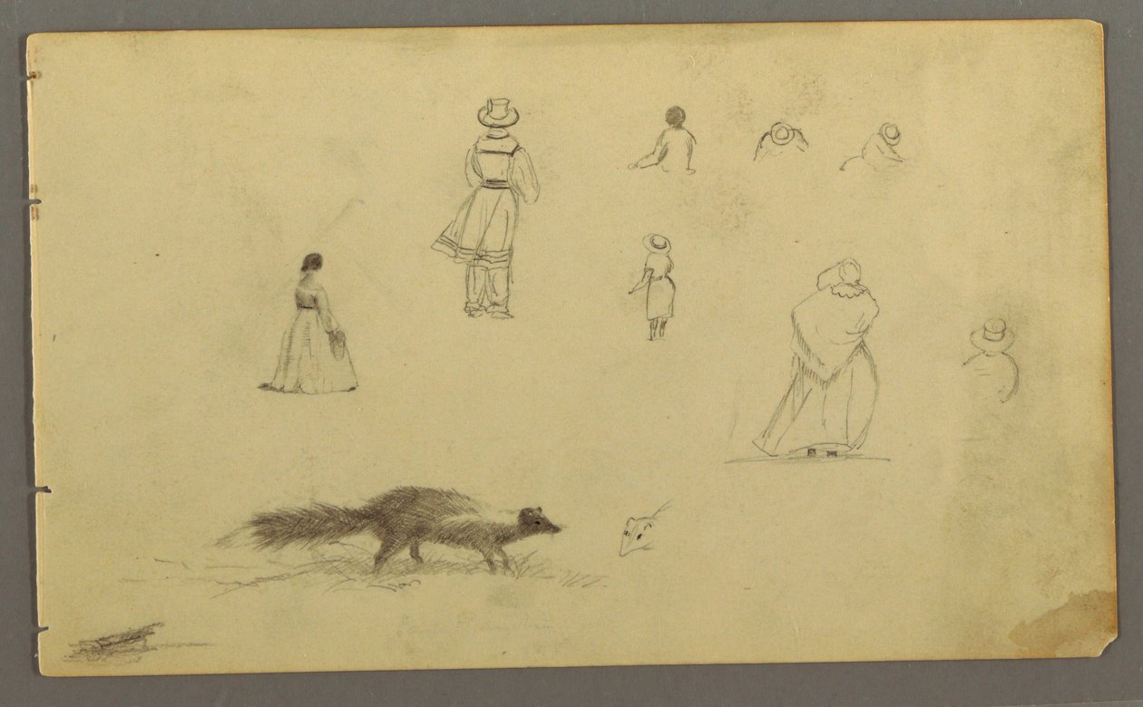 رسم، دراسات شكلية من الخلف، ظربان، ربما 1857-1858 بواسطة كنيسة فريدريك إدوين