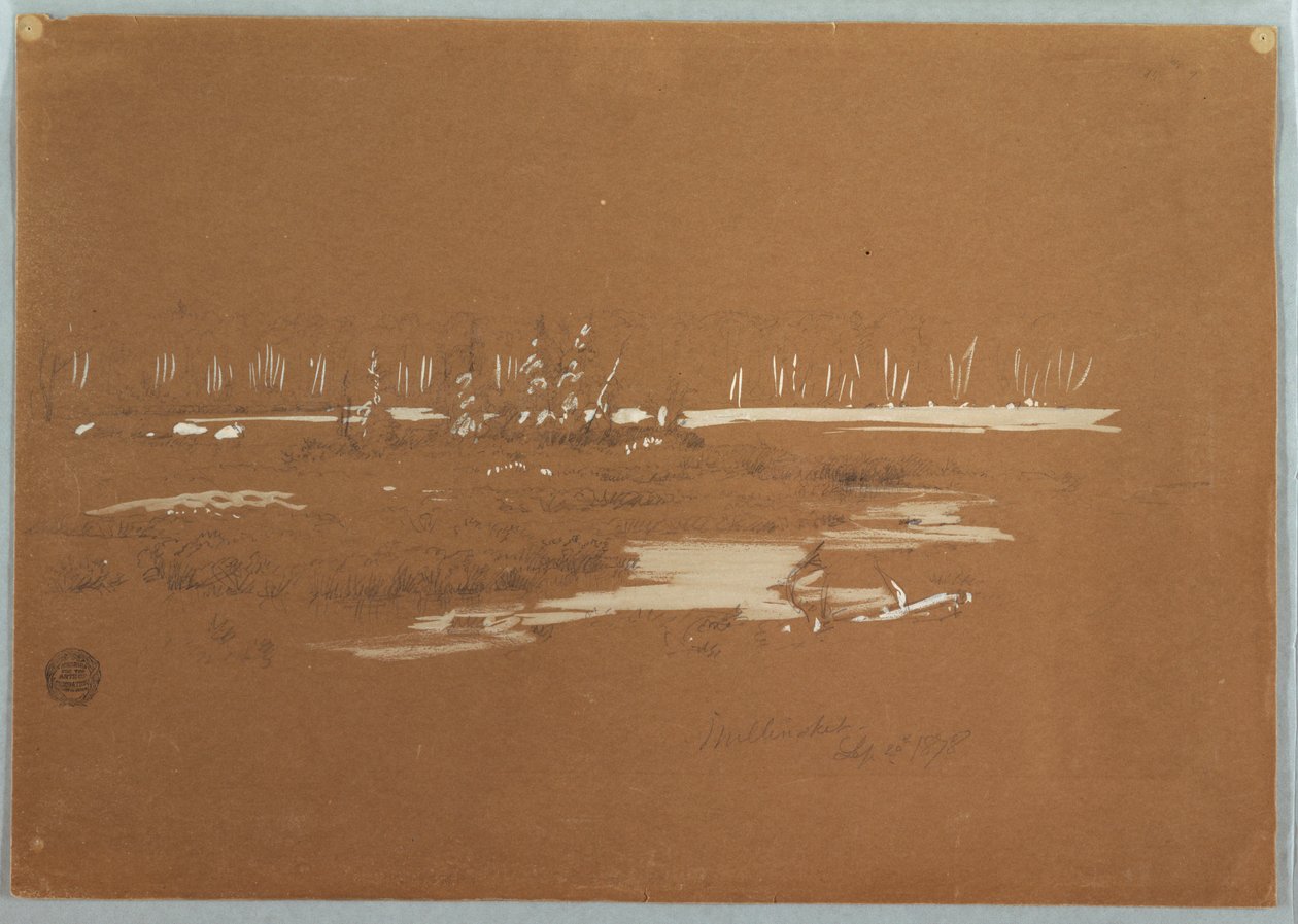 رسم، منظر طبيعي للأهوار بالقرب من ميلينوكيت، 20 سبتمبر 1878 بواسطة كنيسة فريدريك إدوين