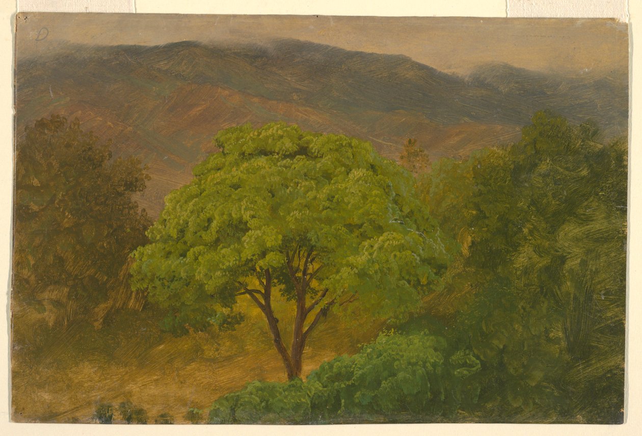 رسم، منظر طبيعي جبلي، أغسطس 1865 بواسطة كنيسة فريدريك إدوين